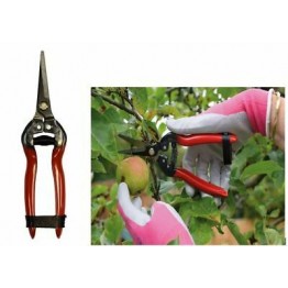 Fruit Pruner, 4949FP