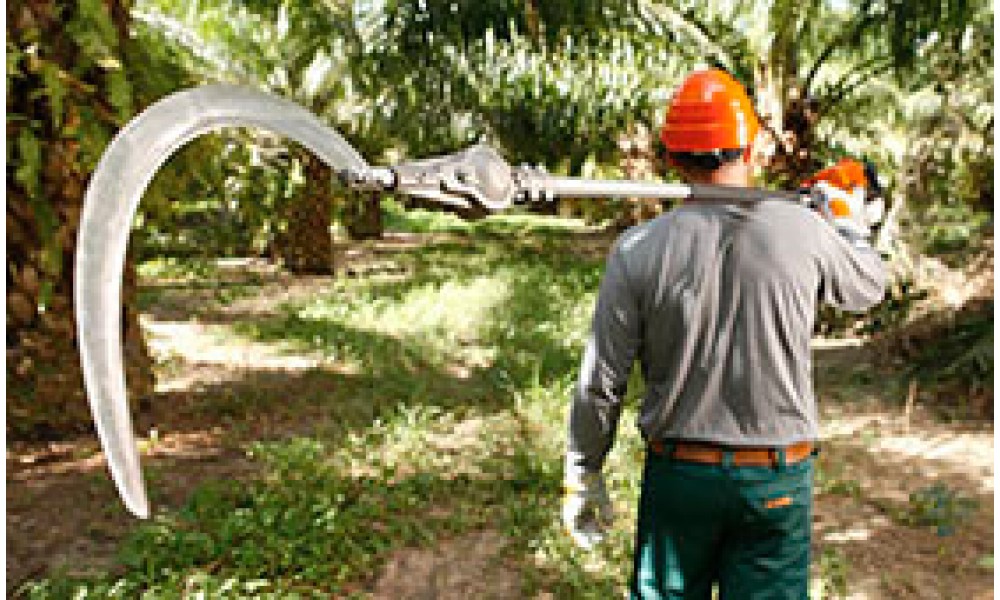 STIHL Palm Harvester Cutter 42482000000 PC 70 Mamtus Nigeria