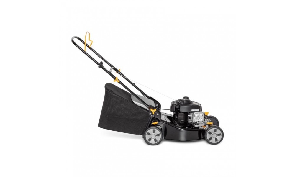 Briggs and on sale stratton 300