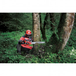 Chainsaw CSP 550, Line Range, 55cc, 2.4kW, 50cm (20'')