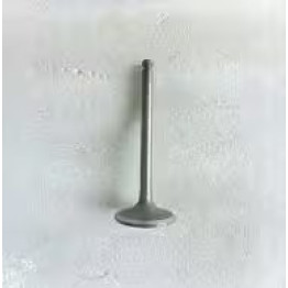 Genuine Forklift Parts Intake Valve For NISSAN K21/K25 13201-FY500