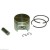 Piston Rings  Fits for FS 250  1.5 mm x 40 mm 
