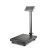 Digital Metal Base Double Display Scale 300kg