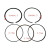 Genuine Forklift Piston ring set 12033-4E110 for Nissan K21/K25 Engine
